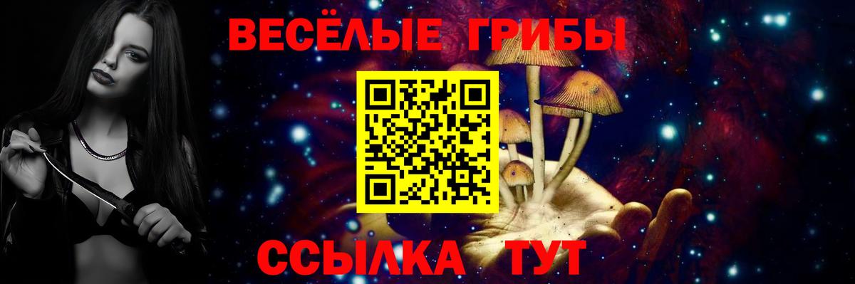 Псилоцибиновые грибы прущие грибы Дмитров